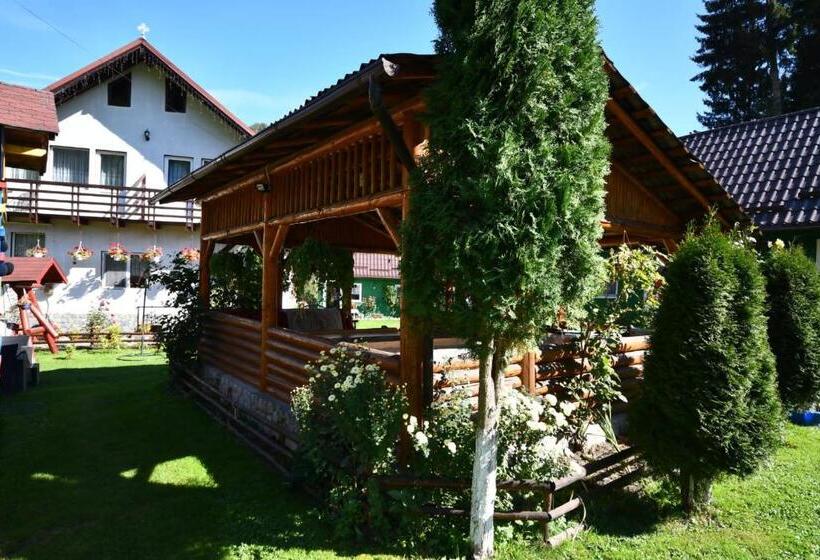 Pension Casa ștefănuț