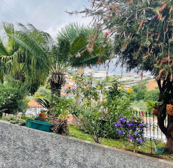 بنسيون Cozy House