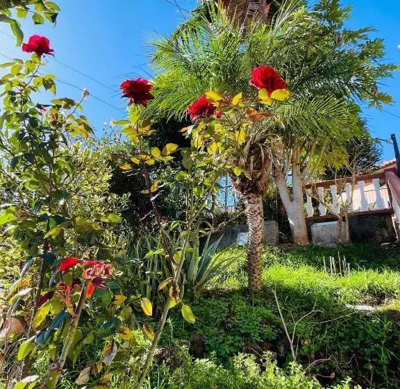 ペンション Cozy House