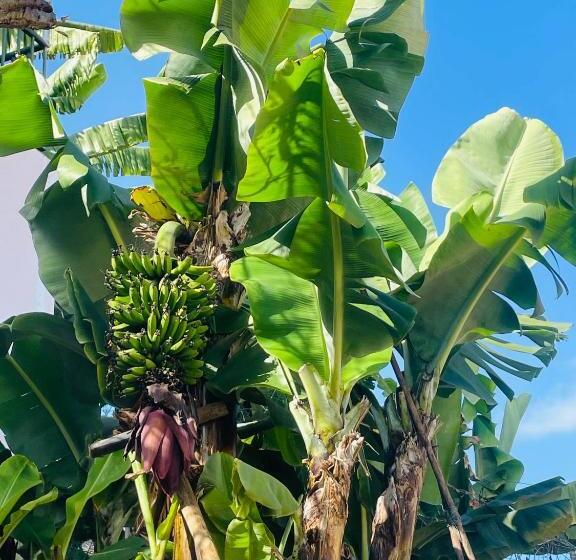 بنسيون Cozy House