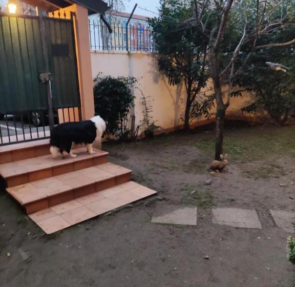 Panzió Hostal D Annunzio House