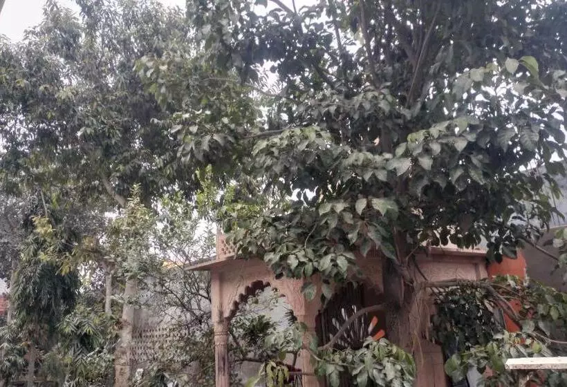 ペンション Maa Gayatri Dham