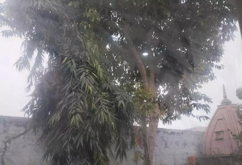 ペンション Maa Gayatri Dham