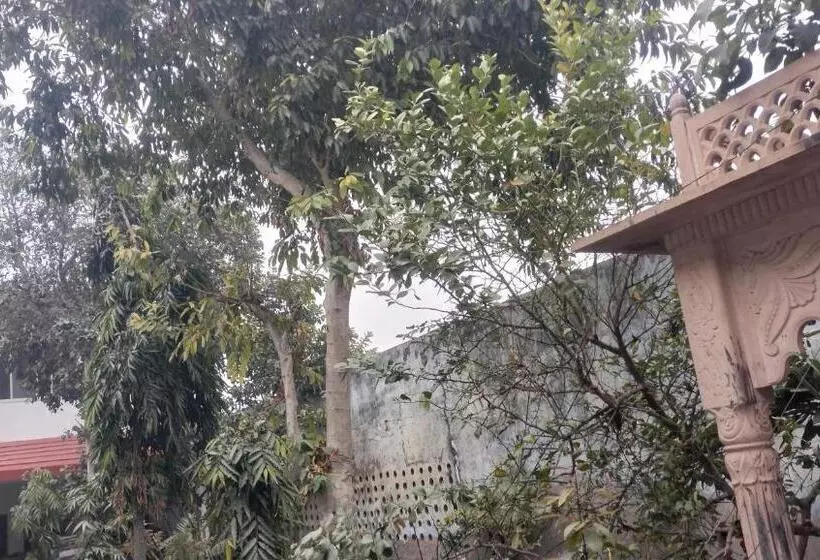 ペンション Maa Gayatri Dham