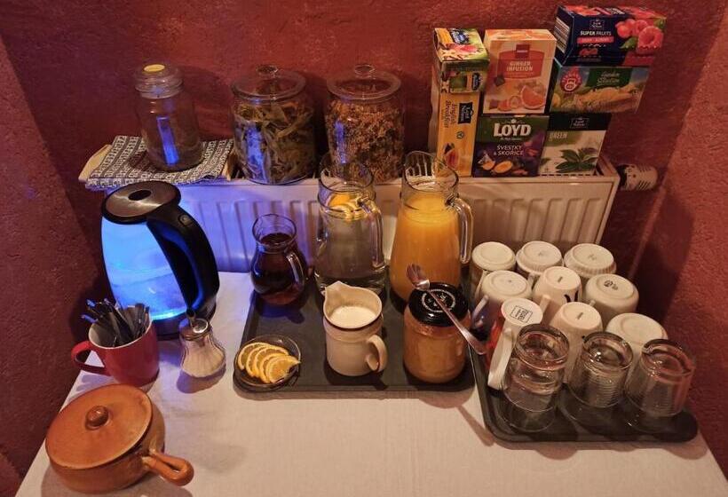 بنسيون Penzion Za Plotem