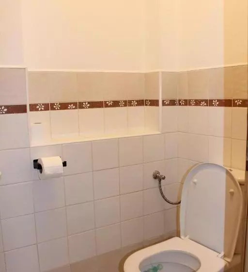 ペンション Penzion Za Plotem