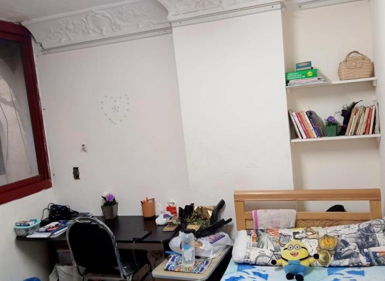 هاستل بيت الطالبات والمغتربات