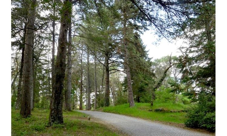 호스텔 Monte Carlo Restaurante E Alojamento Local