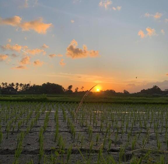 Bed and Breakfast Bucu Kaja House