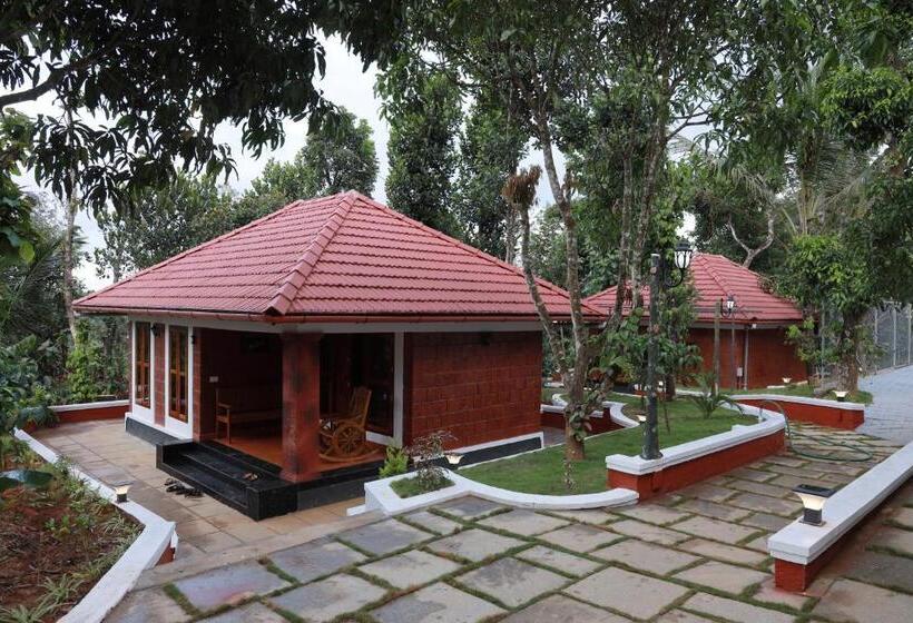 אתר נופש Miracle Holidays