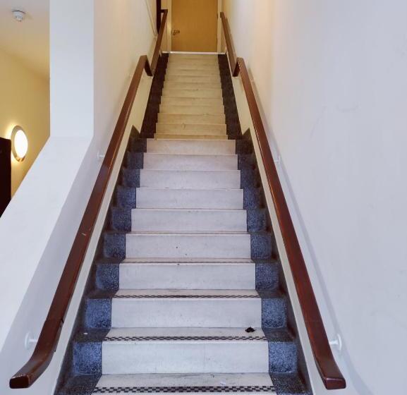 Botanic Avenue Hostel Less Than A Mile From The City Centre