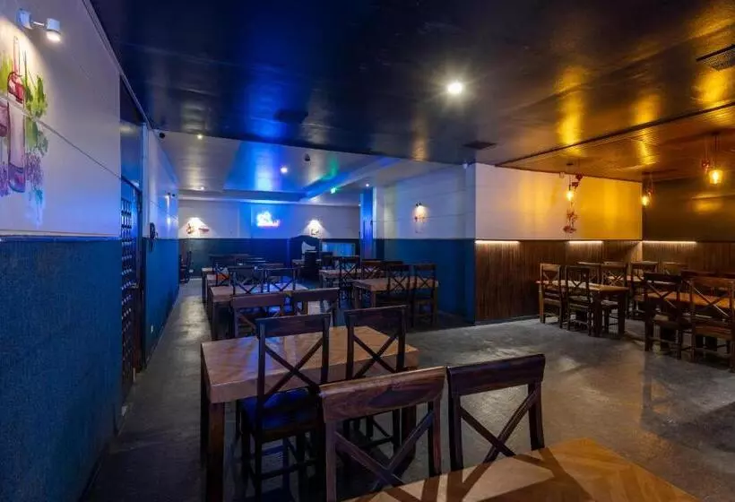 Hotelli Narendra Central