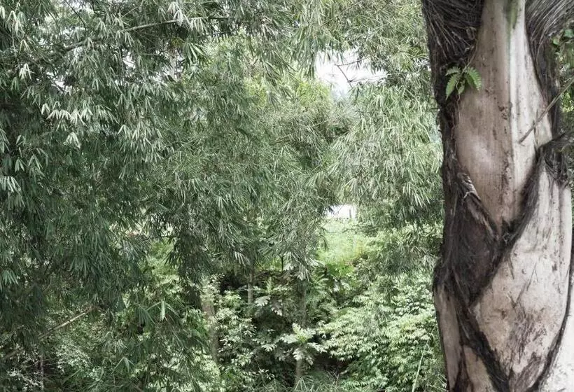 Majatalo Sri Sedana Guest House