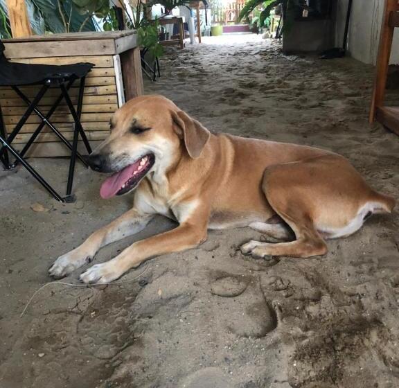 Bed and Breakfast Jenna S Beach House