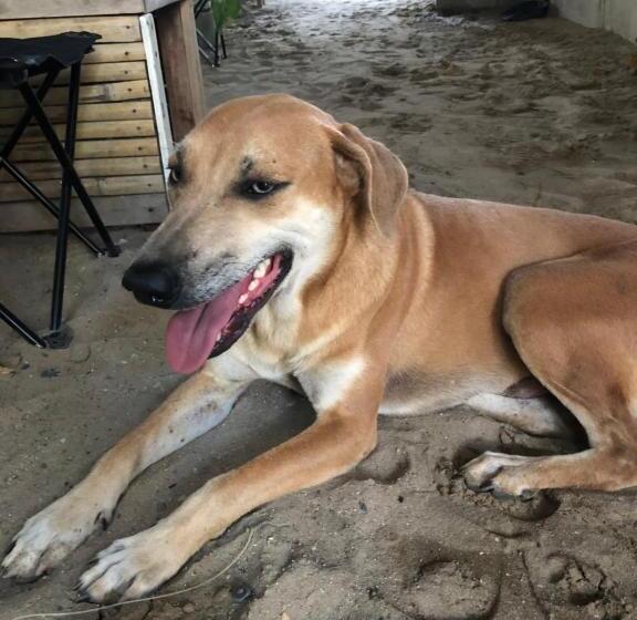 Bed and Breakfast Jenna S Beach House