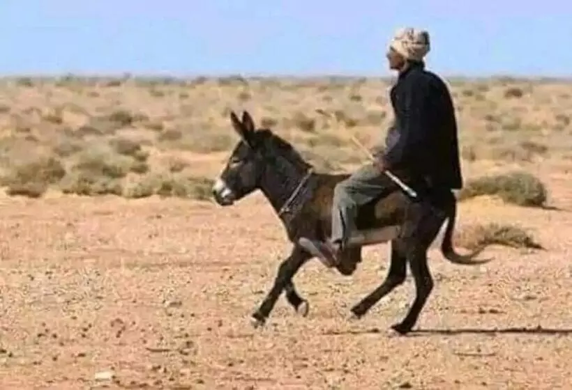ホテル كعب غزال