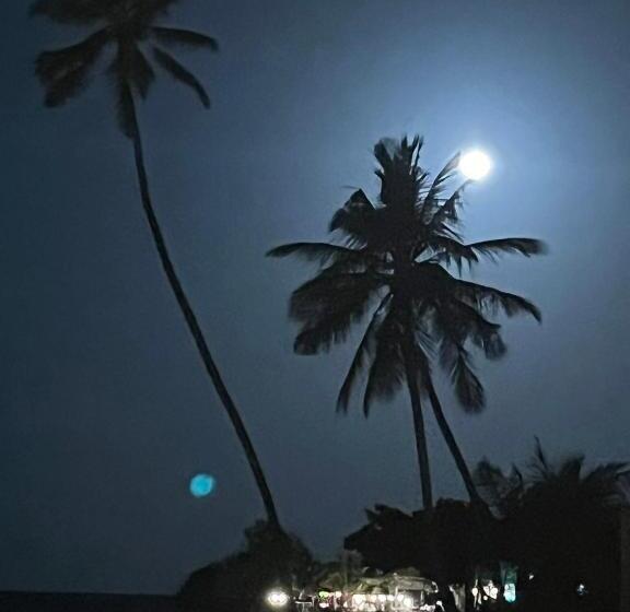 ホテル Aluna Beach Apartments