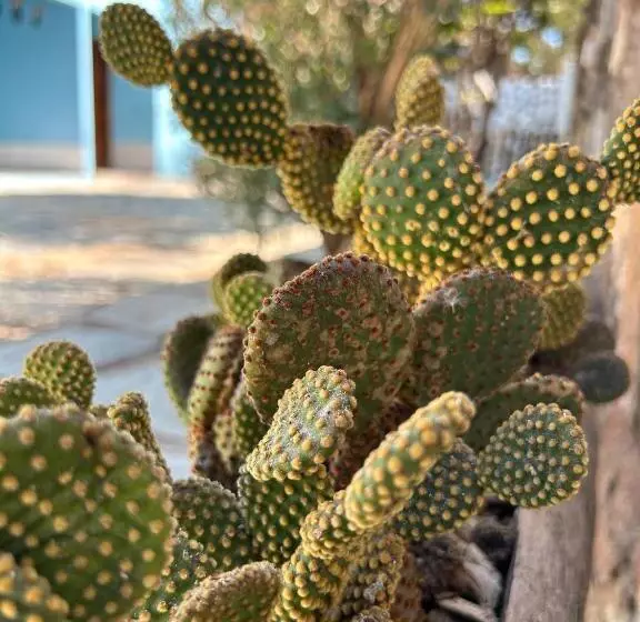 ホテル Pousada Da Biquinha