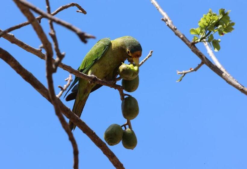 هتل Hide And Seek Resort