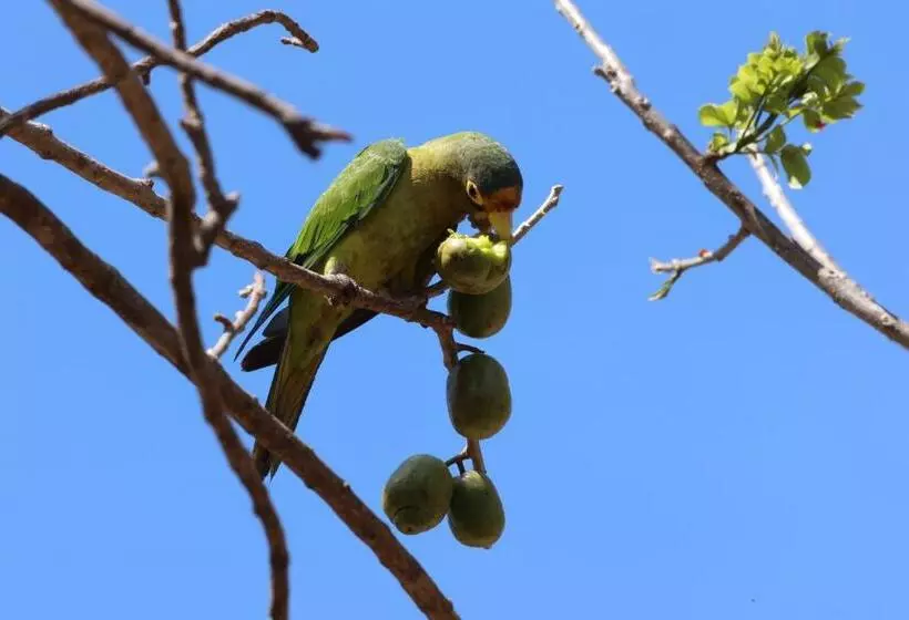 Hotelli Hide And Seek Resort