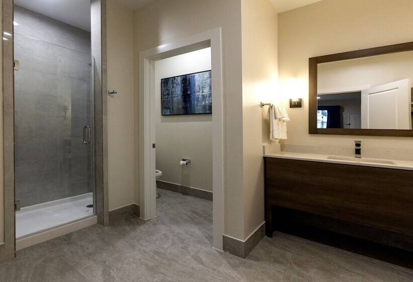 ホテル Palace Inn Blue Edgebrook