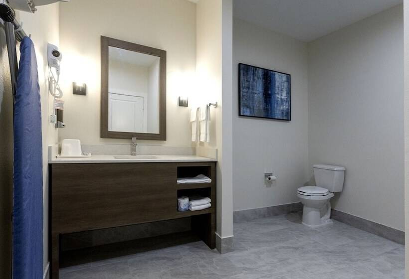 ホテル Palace Inn Blue Edgebrook