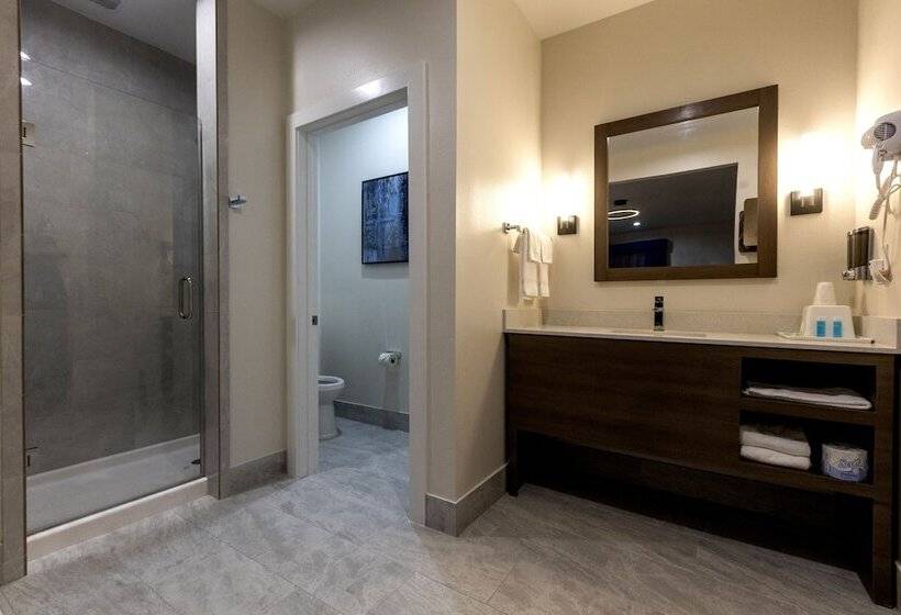 ホテル Palace Inn Blue Edgebrook