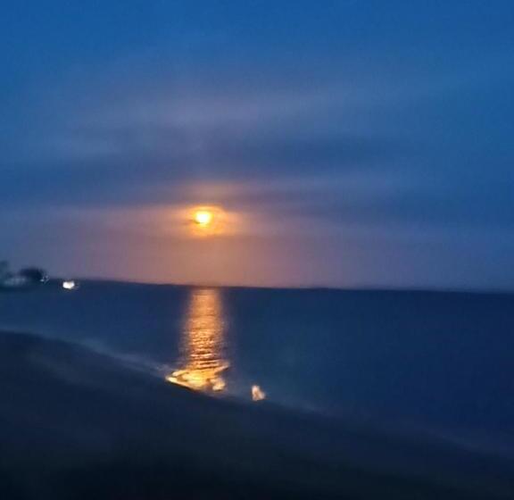 호텔 Whale Tours And Sport Fishing Vista Mag Bay