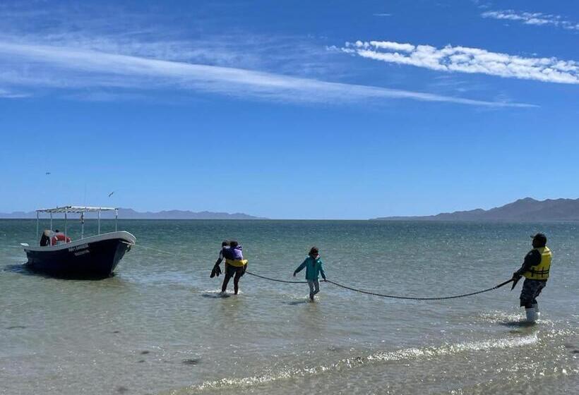 호텔 Whale Tours And Sport Fishing Vista Mag Bay