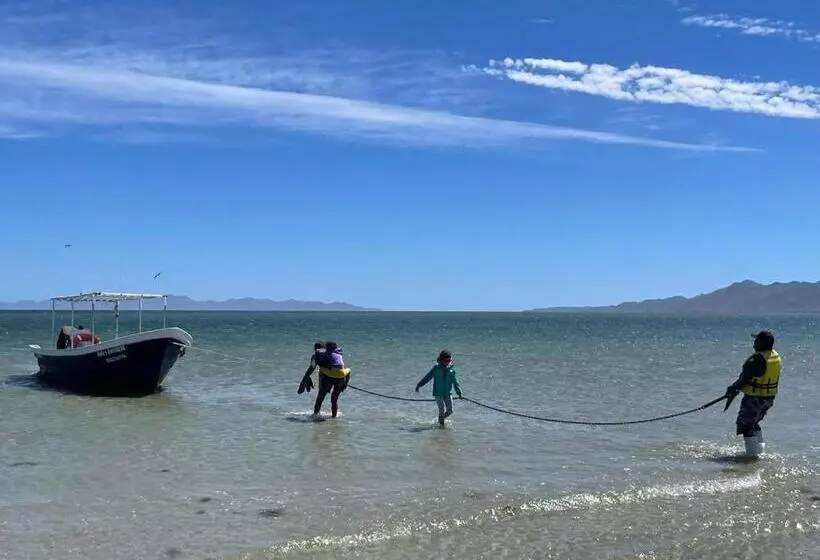 ホテル Whale Tours And Sport Fishing Vista Mag Bay