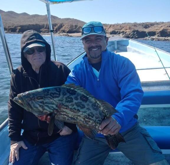 호텔 Whale Tours And Sport Fishing Vista Mag Bay