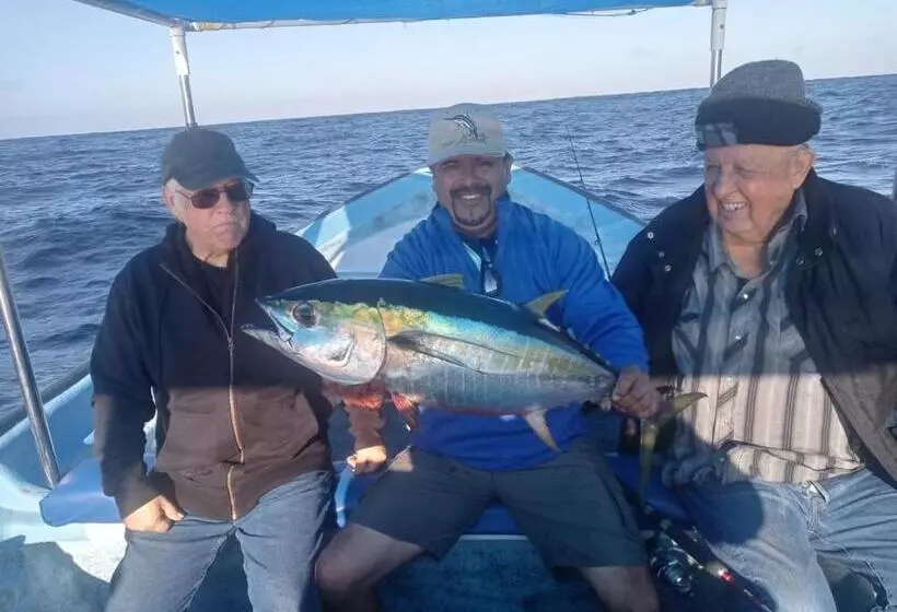 ホテル Whale Tours And Sport Fishing Vista Mag Bay
