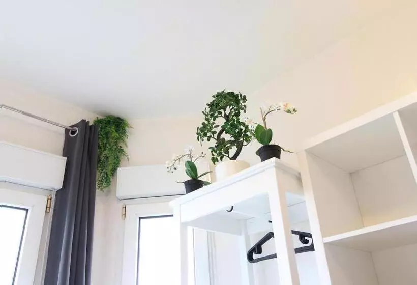 Hotelli Ulm Zentrum   Komplettes Zimmer, Hochbett, Android Tv & Eigenem Bad   Perfekt Für Familien & Gruppen