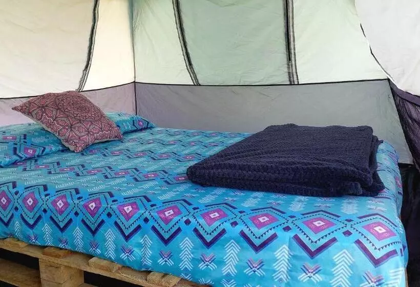 Aamiaismajoitus (B&B) Rustico Arenal Glamping & Rooms