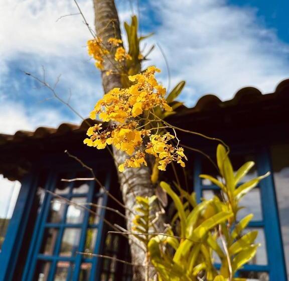 Общежитие Pousada Emerências Dos Búzios