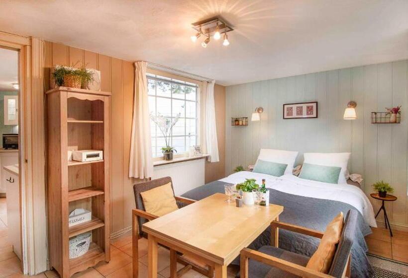 B&b Noordzee Kerstdeco Sauna Strand7km Kennemerduinen