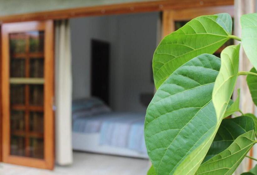 Bed & Breakfast Finca Hotel Casa Lupe En Santa Elena