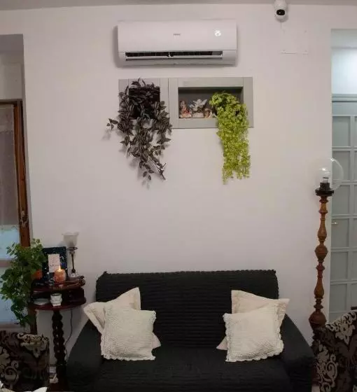 Fly Bed And Breakfast