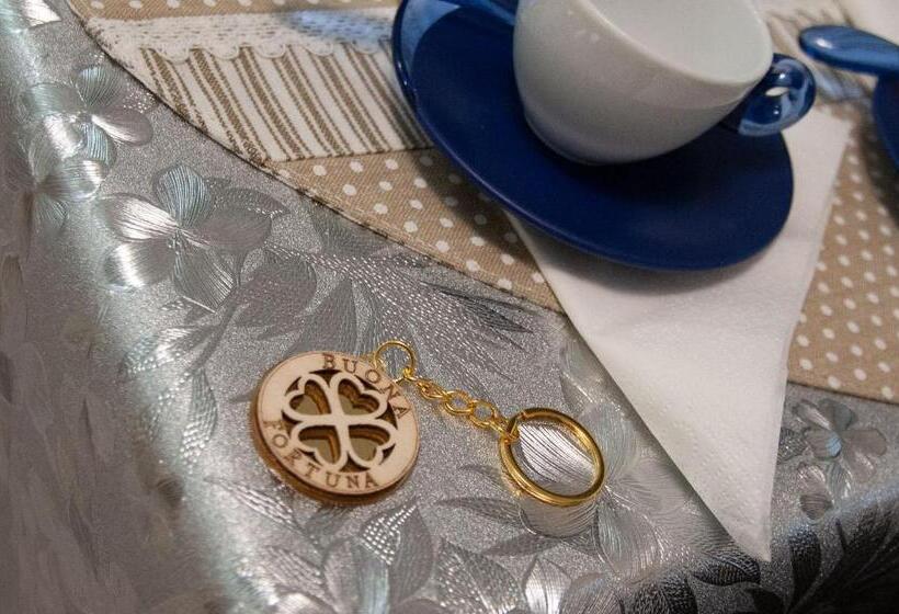 Fly Bed And Breakfast