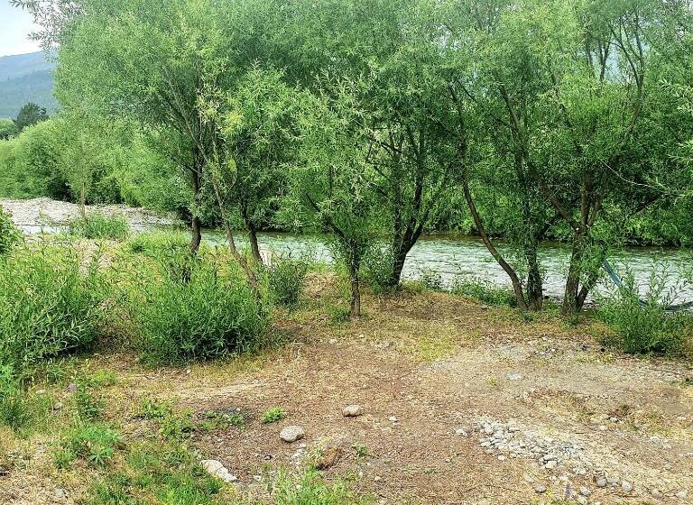 Hostel,dormis Y Camping Costa Bolsón