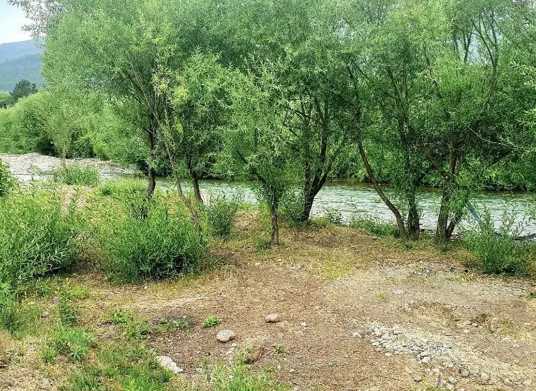 Hostel,dormis Y Camping Costa Bolsón