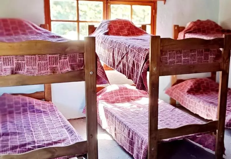 Hostel,dormis Y Camping Costa Bolsón