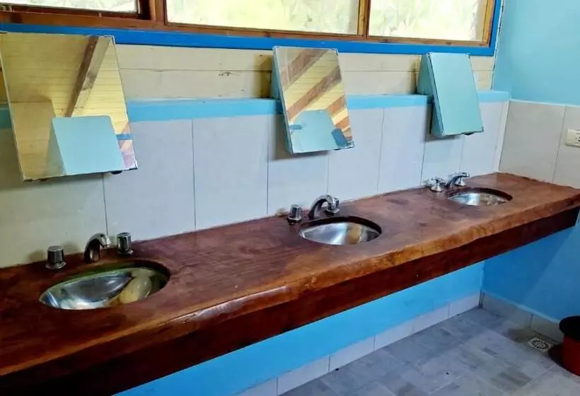 Hostel,dormis Y Camping Costa Bolsón