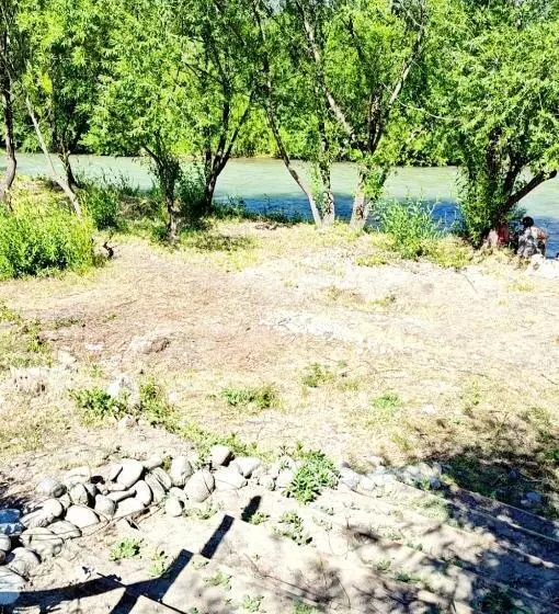 Hostel,dormis Y Camping Costa Bolsón