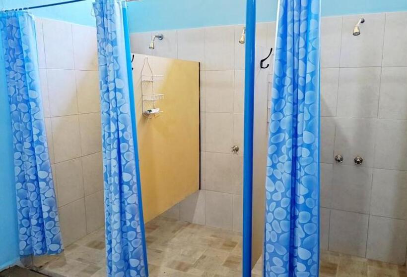 Hostel,dormis Y Camping Costa Bolsón