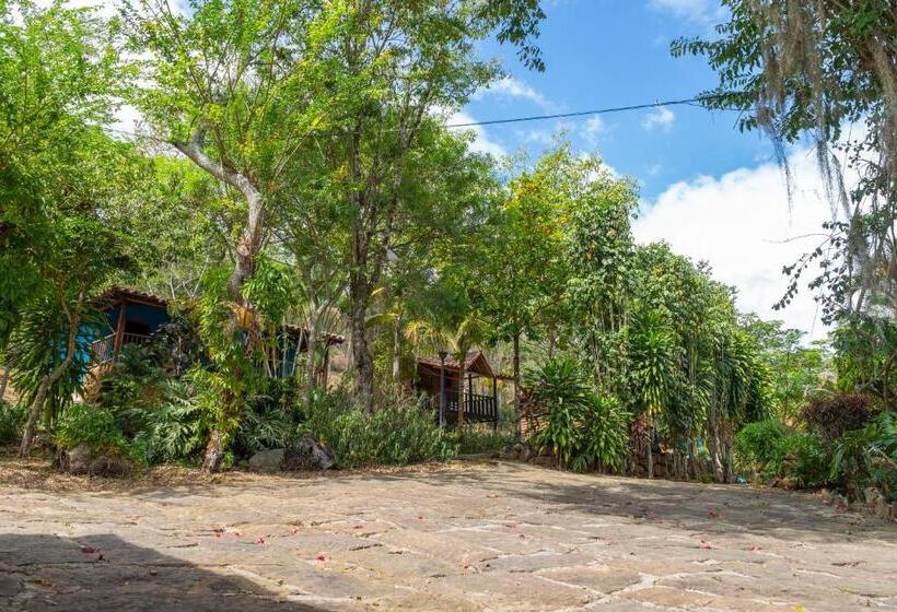 هتل Campestre San Marcos Gw