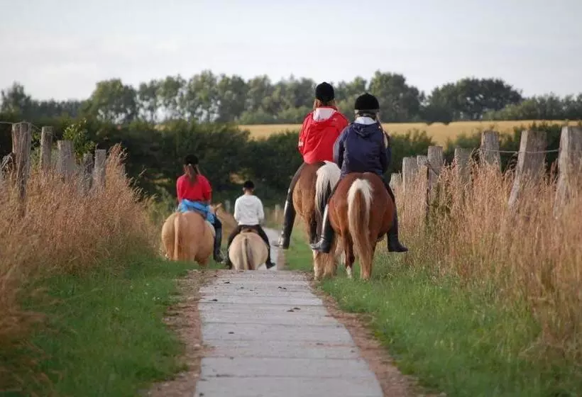 ホテル Ferienwohnungen Auf Dem Ferienhof Sell