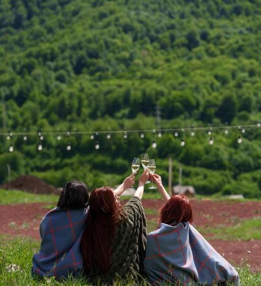 בית מלון כפרי Motives Inn Dilijan