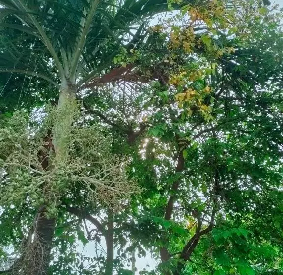 هتل Nhà Nghỉ út Tí