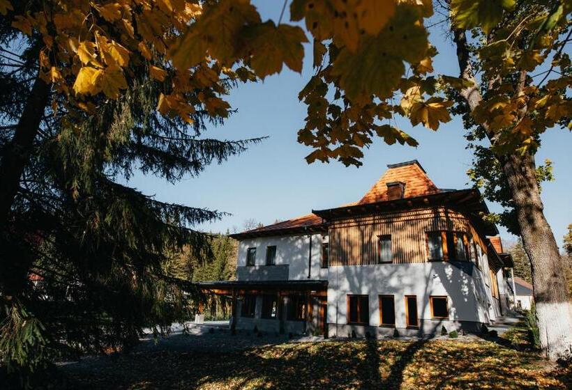 酒店 Villa Bellini Borszék